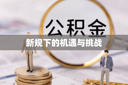 罗城新规下的机遇与挑战
