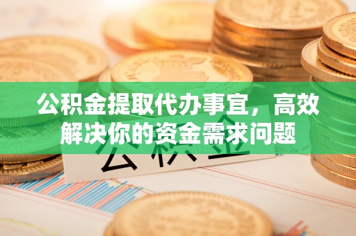 罗城公积金提取代办事宜，高效解决你的资金需求问题