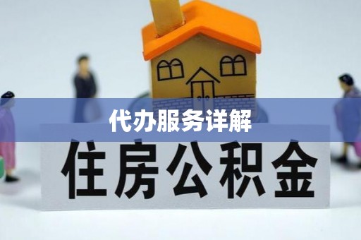 罗城代办服务详解