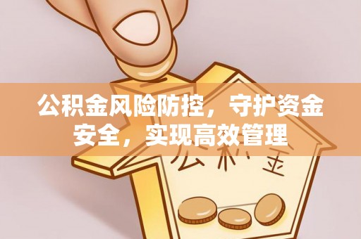 罗城公积金风险防控，守护资金安全，实现高效管理