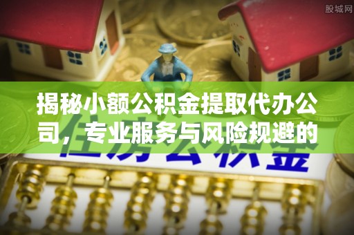 罗城揭秘小额公积金提取代办公司，专业服务与风险规避的平衡艺术