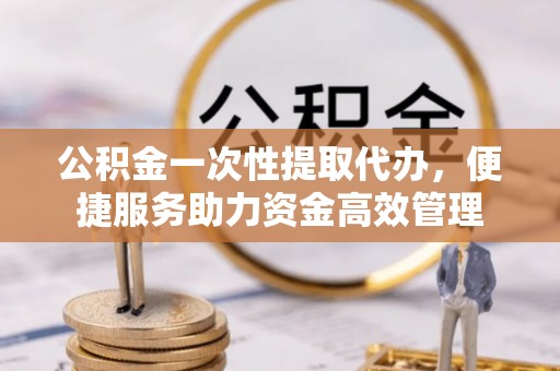 罗城公积金一次性提取代办，便捷服务助力资金高效管理