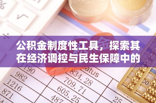 罗城公积金制度性工具，探索其在经济调控与民生保障中的重要作用