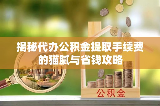 罗城揭秘代办公积金提取手续费的猫腻与省钱攻略