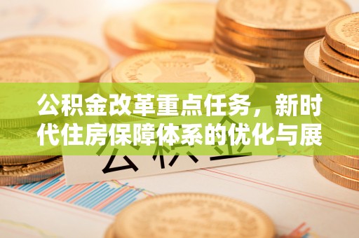 罗城公积金改革重点任务，新时代住房保障体系的优化与展望