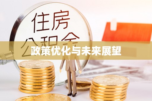 罗城政策优化与未来展望