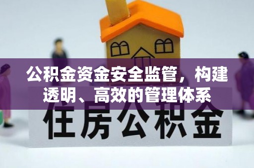 罗城公积金资金安全监管，构建透明、高效的管理体系