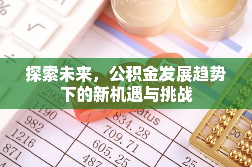 罗城探索未来，公积金发展趋势下的新机遇与挑战