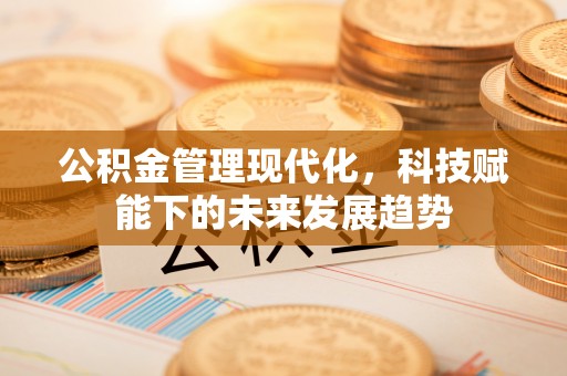 罗城公积金管理现代化，科技赋能下的未来发展趋势