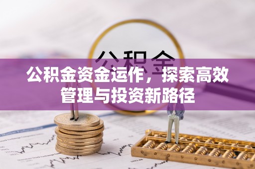 罗城公积金资金运作，探索高效管理与投资新路径