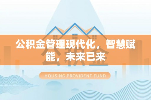 罗城公积金管理现代化，智慧赋能，未来已来