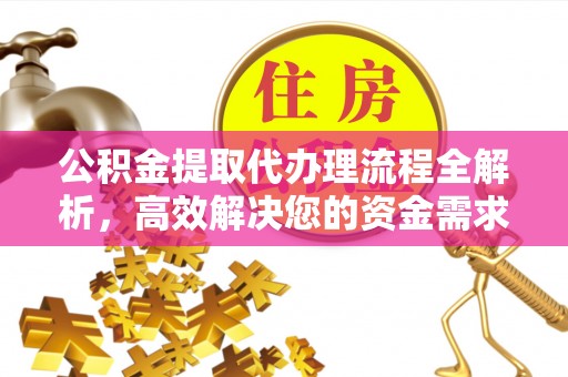 罗城公积金提取代办理流程全解析，高效解决您的资金需求