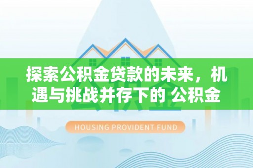 罗城探索公积金贷款的未来，机遇与挑战并存下的 公积金贷款风险防控