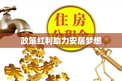 罗城政策红利助力安居梦想