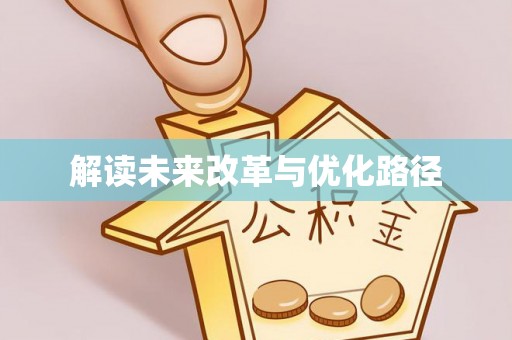 罗城解读未来改革与优化路径