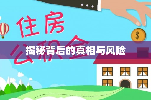 罗城揭秘背后的真相与风险