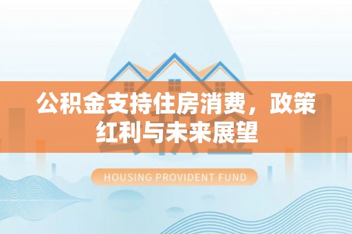 罗城公积金支持住房消费，政策红利与未来展望