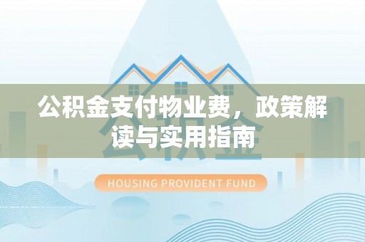 罗城公积金支付物业费，政策解读与实用指南