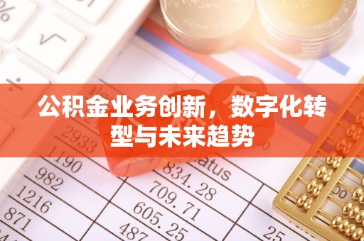 罗城公积金业务创新，数字化转型与未来趋势