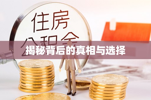罗城揭秘背后的真相与选择