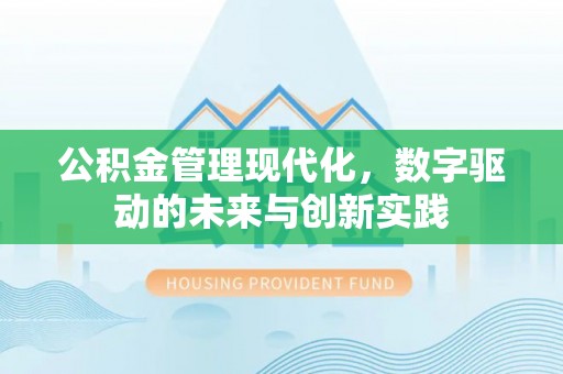 罗城公积金管理现代化，数字驱动的未来与创新实践