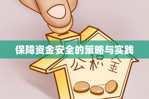 罗城保障资金安全的策略与实践