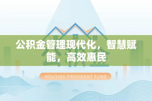 罗城公积金管理现代化，智慧赋能，高效惠民