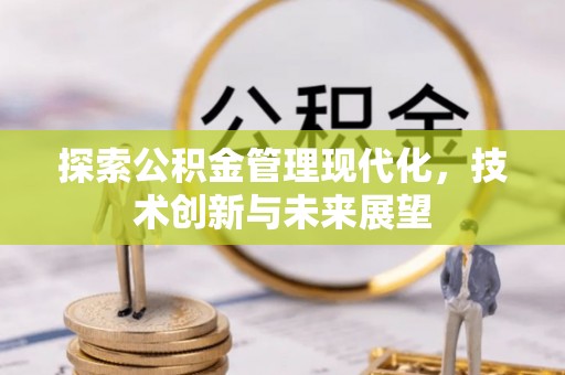 罗城探索公积金管理现代化，技术创新与未来展望