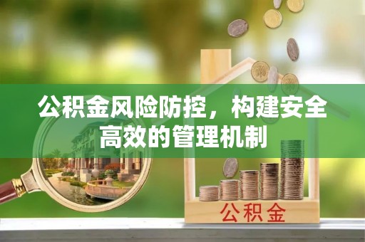 罗城公积金风险防控，构建安全高效的管理机制