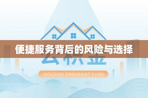 罗城便捷服务背后的风险与选择