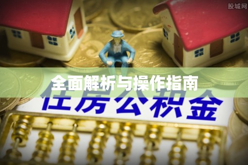 罗城全面解析与操作指南