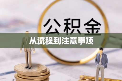 罗城从流程到注意事项