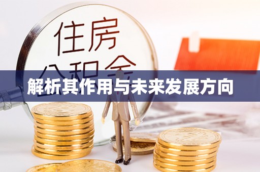 罗城解析其作用与未来发展方向