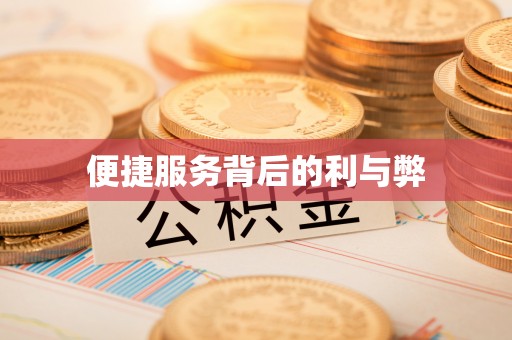 罗城便捷服务背后的利与弊