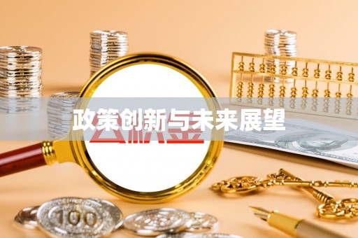 罗城政策创新与未来展望