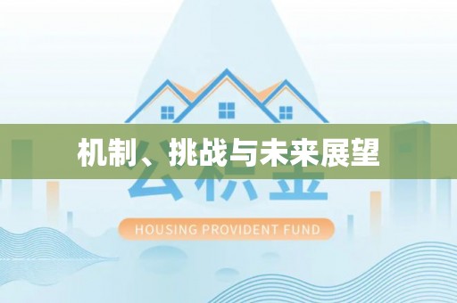 罗城机制、挑战与未来展望