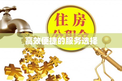 罗城高效便捷的服务选择