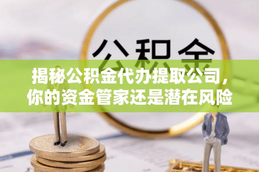 罗城揭秘公积金代办提取公司，你的资金管家还是潜在风险？