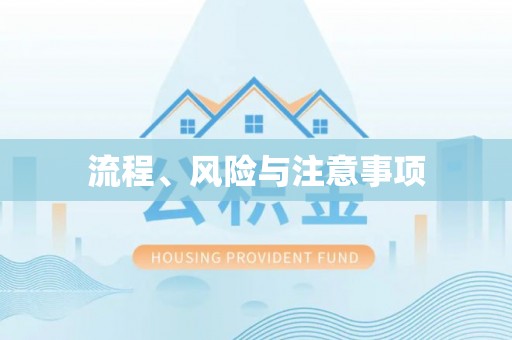 罗城流程、风险与注意事项