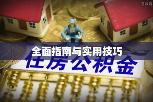 罗城全面指南与实用技巧