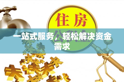 罗城一站式服务，轻松解决资金需求