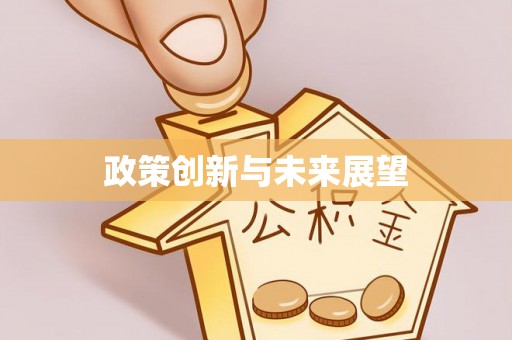 罗城政策创新与未来展望