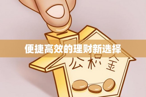 罗城便捷高效的理财新选择