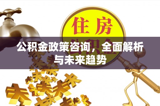 罗城公积金政策咨询，全面解析与未来趋势